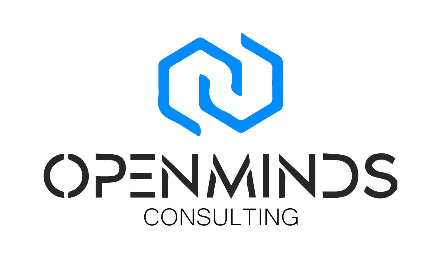 Management Consulting | Openminds