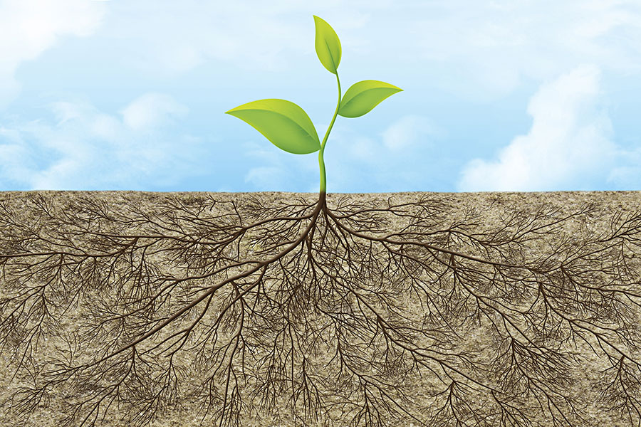 The Invisible Growth That Actually Moves Us Forward